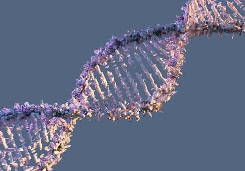 Ľudská DNA sa dá