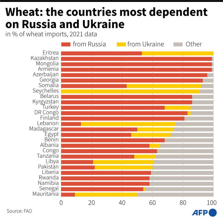 Krajiny, ktoré sú najviac závislé na dovoze pšenice z Ukrajiny a Ruska.