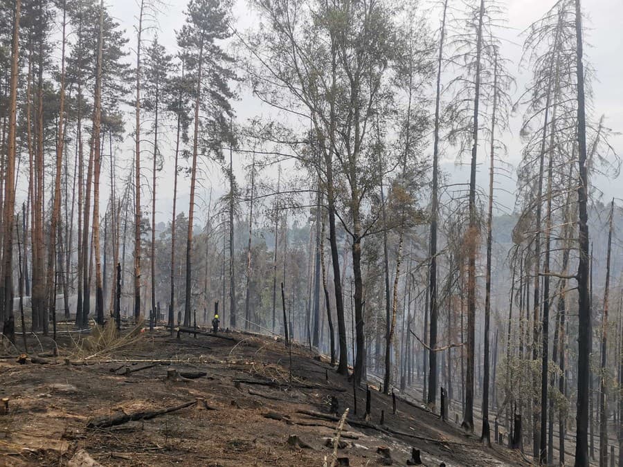 Požiar lesa v Česku