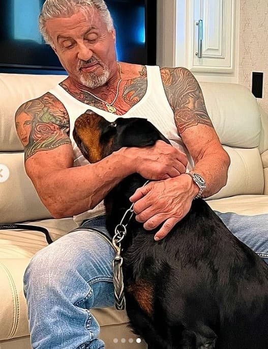 Stalloneho rameno kedysi zdobilo tetovanie jeho ženy. 