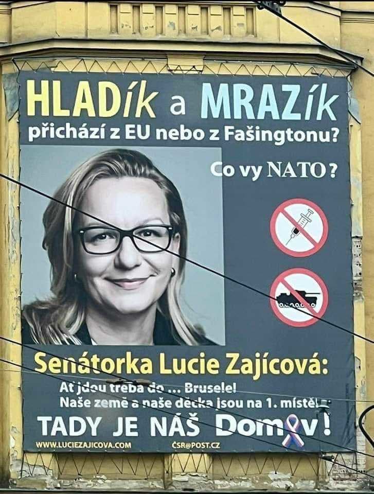 Česko bude voliť už