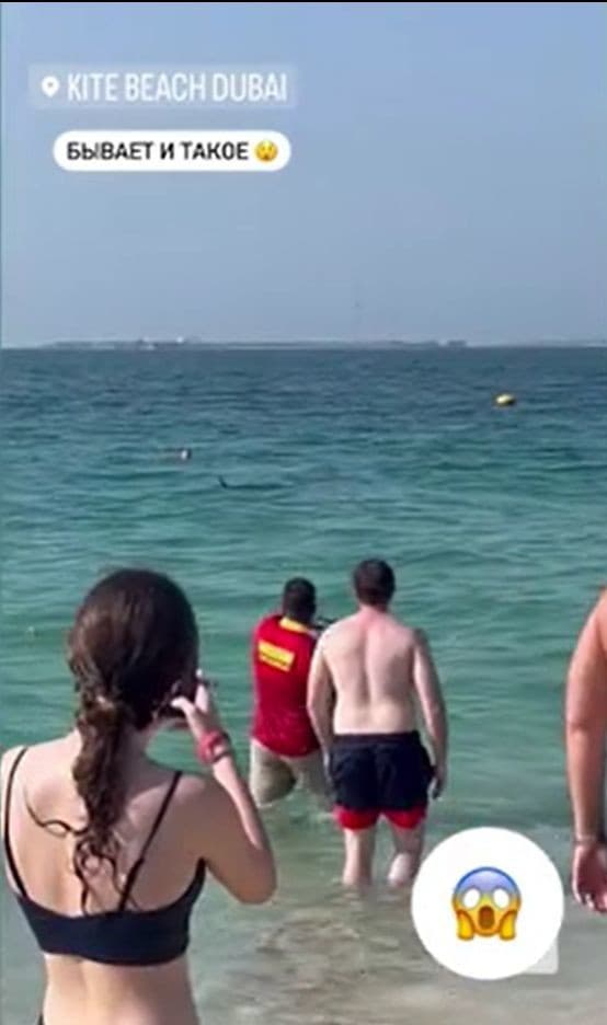 Žralok terorizoval turistov na