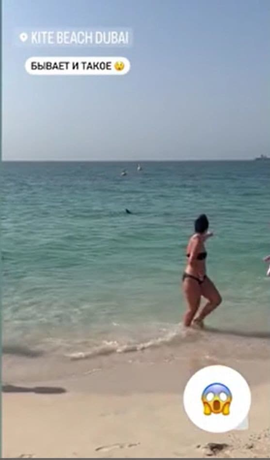 Žralok terorizoval turistov na