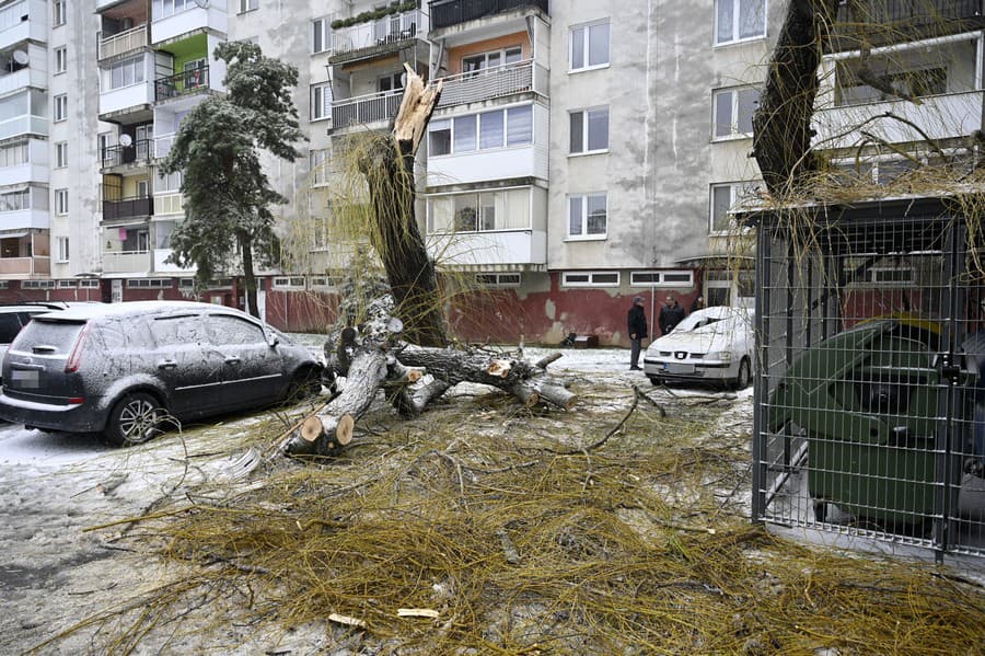 Silný vietor v Trebišove lámal stromy a ničil autá