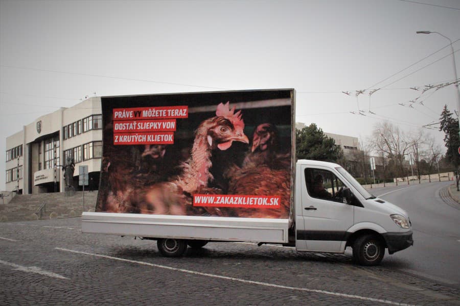 Šokujúca kampaň ochrancov zvierat:
