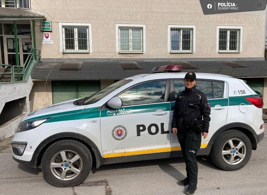 Policajti zachránili v Starej Bystrici zranenú gravidnú vlčicu