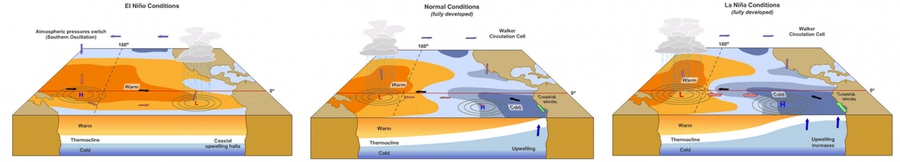 Schematické zobrazenie priestorovej distribúcie (rozloženia) prízemného tlaku vzduchu, odchýlok teploty morskej vody (SST_anomaly) a prevládajúceho smeru prúdenia v spodnej troposfére v podmienkach El Niño (vľavo), La Niña (vpravo) a ENSO-neutrál (v strede)