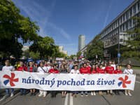 Účastníci na Národnom pochode za život v Bratislave