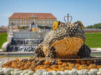 Pestrofarebné šarkany a 400 odrôd tekvíc: Schloss Hof láka na jeseň plnú zážitkov