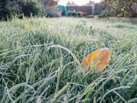 Slovensko čaká mrazivá noc: V týchto oblastiach hrozí prízemný mráz