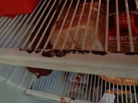 Nevyhovujúci chladiaci box na mäsové výrobky v predajni - zistila RVPS Michalovce