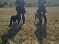 Pátranie po nezvestnom seniorovi bolo úspešné