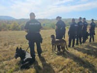 Pátranie po nezvestnom seniorovi bolo úspešné