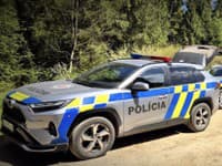 Dráma v krompašskej osade: Auto zrazilo 5-ročného chlapca, vodič ušiel pred davom so sekerami