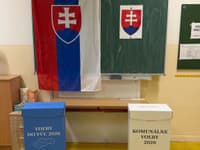 Petržalčania rozhodujú o budúcnosti mestskej časti: Okrem volieb ich čaká aj referendum