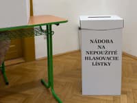 V Petržalke rozdali chybné hlasovacie lístky: Voliči dostali ZLÝ zoznam kandidátov