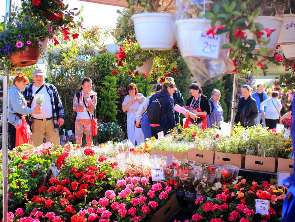 Privítajme jar na obľúbenom