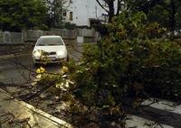 FOTO: TASR - V podvečer 21. júna 2007 silný nárazový vietor polámal na Mudroňovej ulici v Bratislave niekoľko stromov.