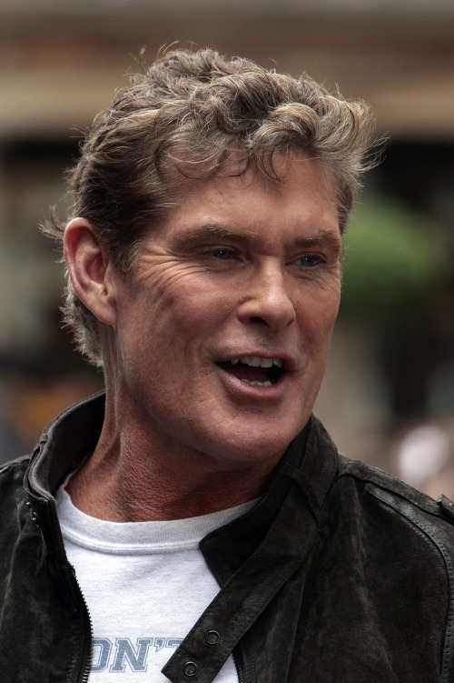 Next photo of David Hasselhoff