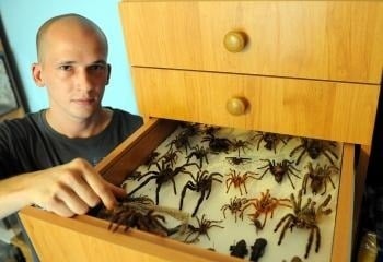 Marcel schováva pavúky v šuflíku