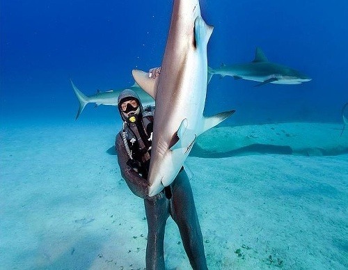 Cristina sa žralokov nebojí
