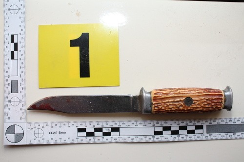 Polícia už našla aj zakrvavený nôž