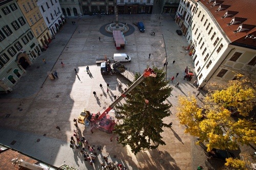Na Hlavnom námestí výrastol vianočný stromček