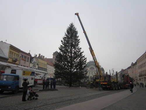 Strom už stojí, rozsvieti sa 5. decembra