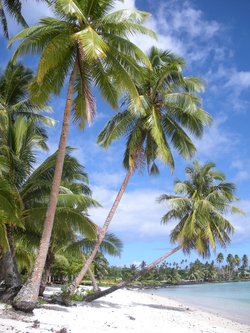 Ostrov Samoa
