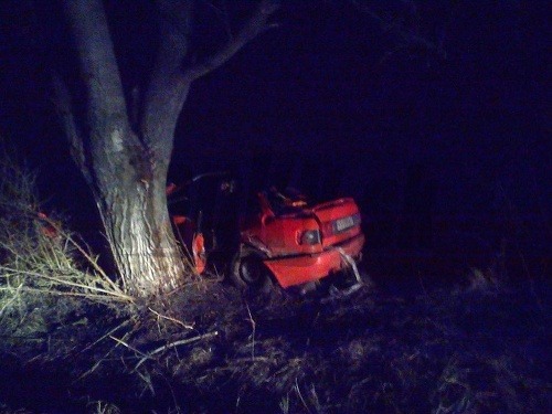 Auto narazilo do stromu