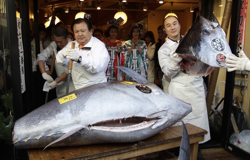 Za tuniaka zapltail rekordnú sumu