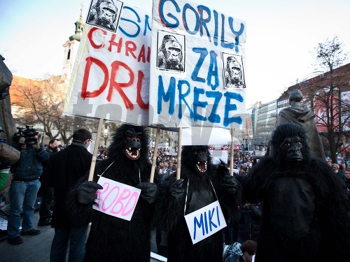 Proti Gorile sa dnes chystajú protestovať desaťtisíce občanov