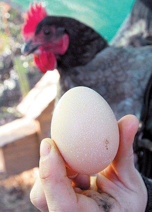 Vajíčko s bielymi bodkami znamenajú sneh