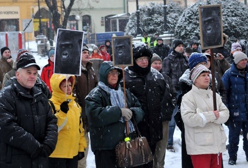 Dnes sa protestovalo aj v Prešove