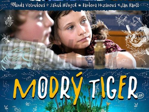 Modrý tiger