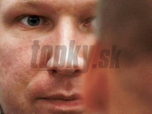 Anders Behring Breivik