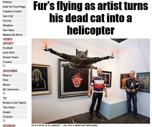 Mačka, ktorá naozaj dokáže lietať