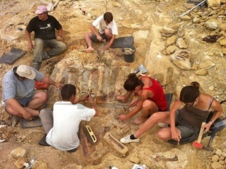 Vedci objav urobili vo vykopávkach pri meste Velaux neďaleko Aix-en-Provence