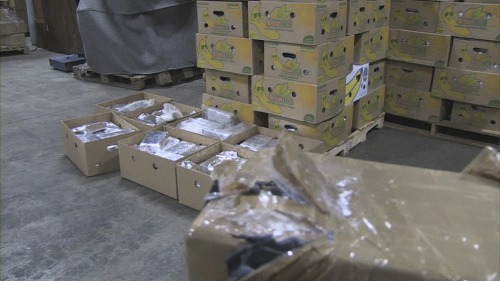 Kokaín našli v kontajneri na banány