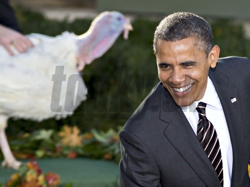 V súlade s tradíciou Bieleho domu Obama omilostil dvoch moriakov