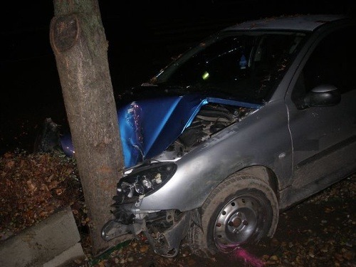 Opitý mladík skončil s autom v strome