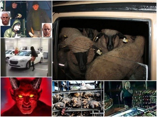 Rok 2012 bol bohatý na kuriózne príbehy