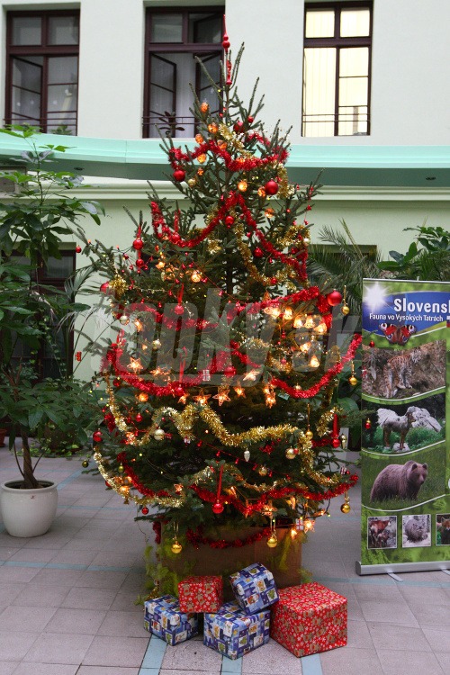 Vianočné stromčeky v budovách slovenských ministerstiev