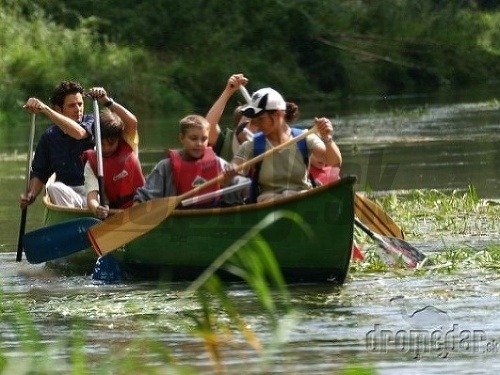 Dunajský „prales“ za bránami Bratislavy