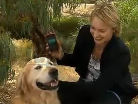 Austrálsky zlatý retriever Charlie s majiteľkou
