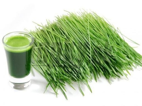 Zelená pšenica- nápoj, ktorý osvieži a zároveň detoxikuje!