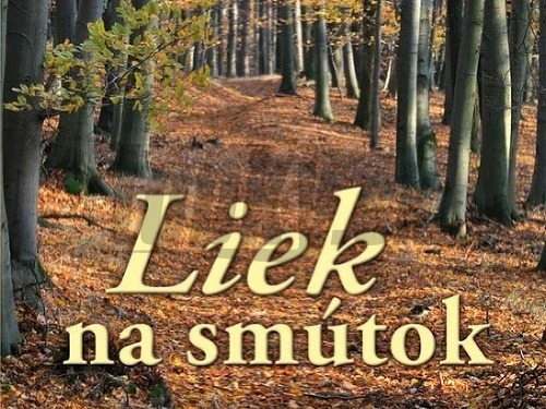 Liek na smútok