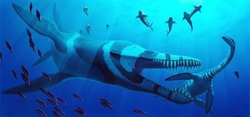 Takto nejako mohol vyzerať pliosaurus