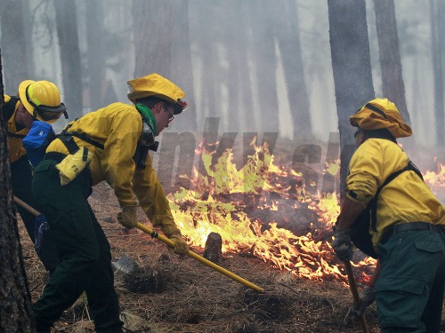 Lesné požiare v Colorade vyhnali z domova tisíce ľudí