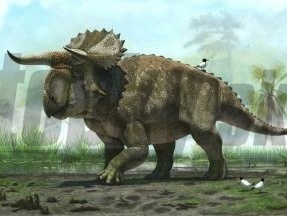 Nový dinosaurus dostal pomenovanie nasutoceratops